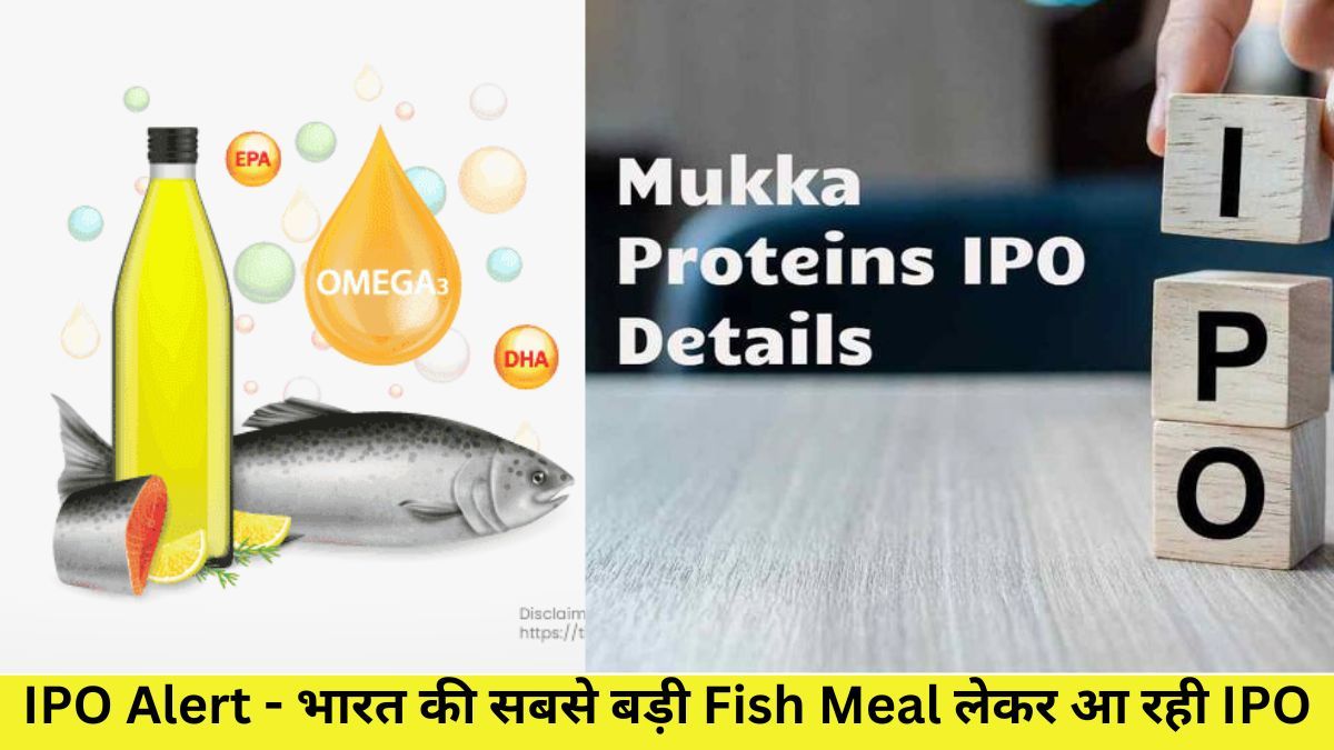 Mukka Protin IPO