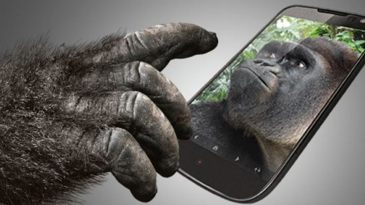 Mobile Facts: क्या आप जानते हैं Gorilla Glass का ये अजीब नाम क्यों पड़ा..