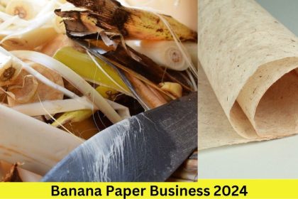 Banana Paper Business