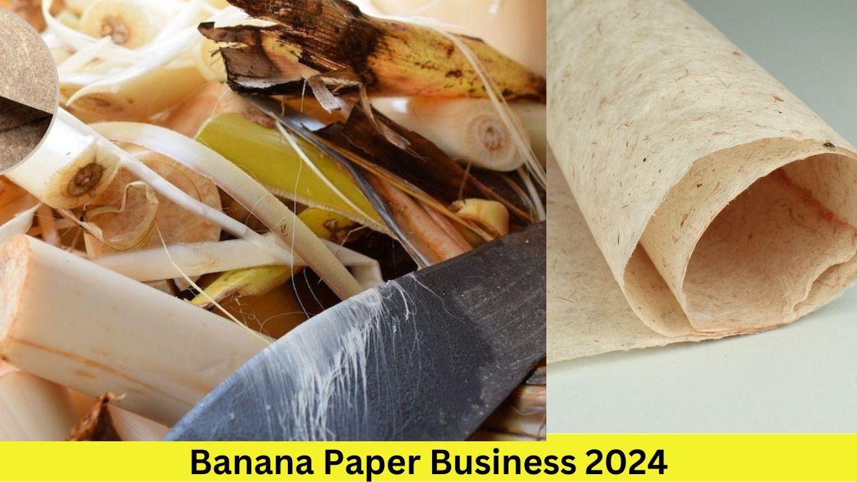 Banana Paper Business