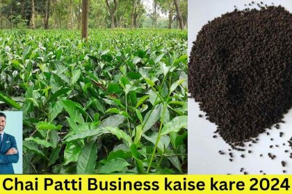 Chai Patti Business kaise kare