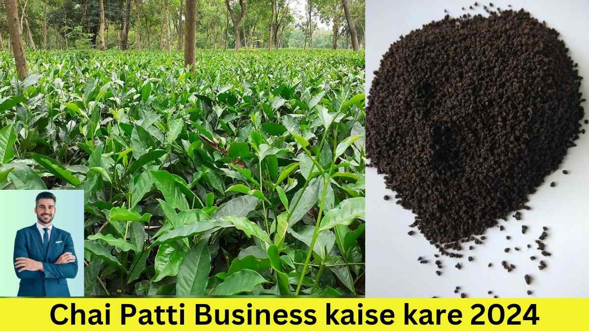 Chai Patti Business kaise kare