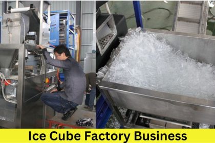 Ice Cube Factory Business