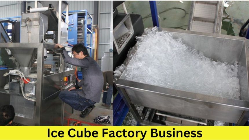 Ice Cube Factory Business